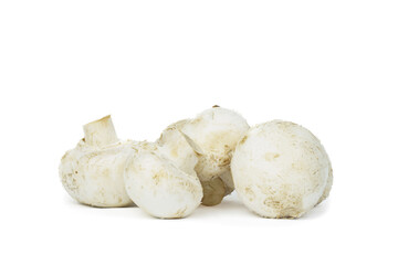 group of mushroom isolated on white background