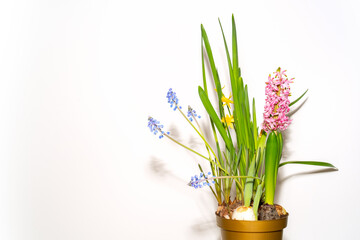 bouquet of spring flowers on white background 