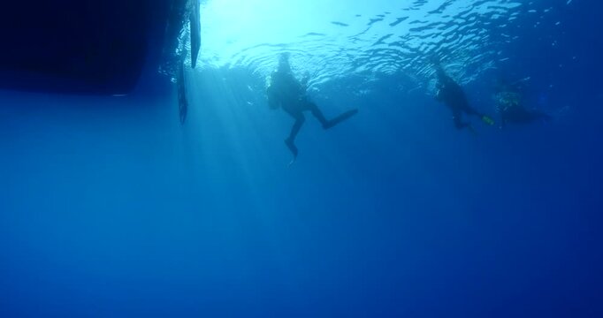 scuba divers starting or ending the dive underwater shallow 