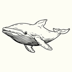 Whale Line Art Drawing Elegant and Minimalist Whale Sketch for Nature, Ocean, and Artistic Designs