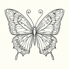Butterfly Line Art Drawing Elegant and Detailed Butterfly Sketch for Artistic and Nature-Inspired Designs