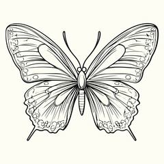 Butterfly Line Art Drawing Elegant and Minimalist Butterfly Sketches for Art, Design, and Nature-Inspired Projects