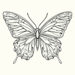 Butterfly Line Art Drawing Elegant and Minimalist Butterfly Sketches for Art, Design, and Nature-Inspired Projects