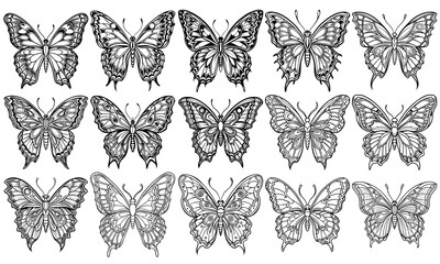 Minimalistic black line art of a butterfly bundle designed for kids' coloring books or coloring pages. Features simple, clean, and detailed doodle-style butterfly illustrations on a white background