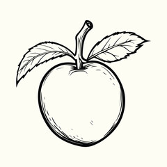 Black and White Apple Drawing with Leaves Botanical Illustration in Vintage Style for Nature Art and Design Backgrounds