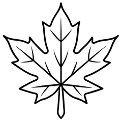 Graceful maple leaf outline vector