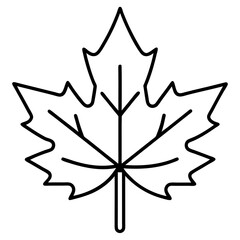 Graceful maple leaf outline vector