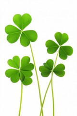 Fresh Green Clover Leaves Isolated on White Background Nature Photography Springtime Botanical Image