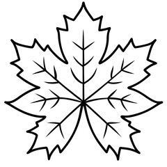 Graceful maple leaf outline vector