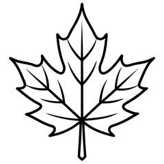 Graceful maple leaf outline vector