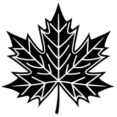 Graceful maple leaf outline vector