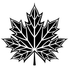 Graceful maple leaf outline vector