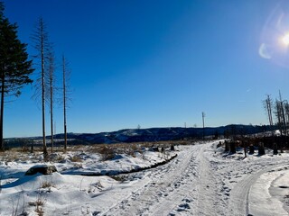 Eine Wanderung von Sieber bei Herzberg zu Hanskühnenburg (Auf dem Acker)