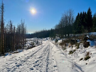 Eine Wanderung von Sieber bei Herzberg zu Hanskühnenburg (Auf dem Acker)