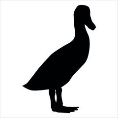 Farm Animal Duck Silhouette Vector Illustration