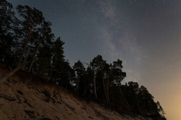 The Milky Way shines above a sandy cliff and coniferous forest on the Baltic Sea coast on a...