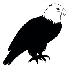 American Eagle Bird Silhouette Vector illustration