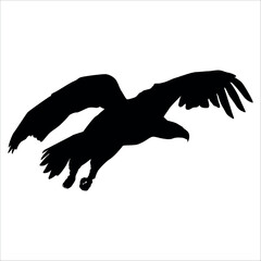 American Eagle Bird Silhouette Vector illustration