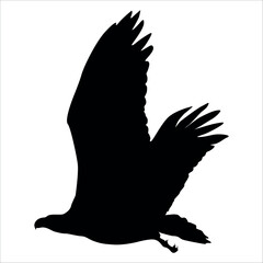 American Eagle Bird Silhouette Vector illustration