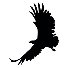 American Eagle Bird Silhouette Vector illustration