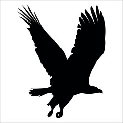 American Eagle Bird Silhouette Vector illustration
