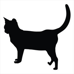 black cat silhouette