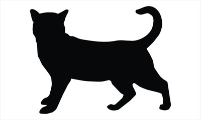 black cat silhouette