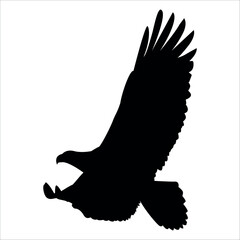 American Eagle Bird Silhouette Vector illustration