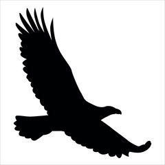 Fototapeta premium American Eagle Bird Silhouette Vector illustration