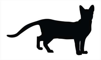 black cat silhouette