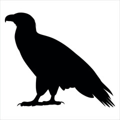 American Eagle Bird Silhouette Vector illustration