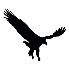 American Eagle Bird Silhouette Vector illustration