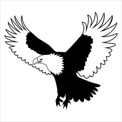 American Eagle Bird Silhouette Vector illustration