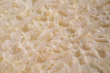 A detailed macro shot of a freeze-dried zucchini slice, showcasing its pale yellow flesh, seeds,...