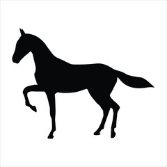 silhouette of a horse