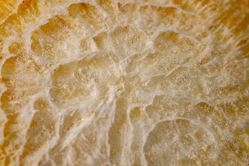 A detailed macro view of a freeze-dried carrot slice, highlighting its vibrant orange color and intricate texture. Perfect for healthy snacking or as a culinary ingredient.