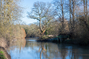 River Medway near Maidstone, Kent, England on a cold winters day.
