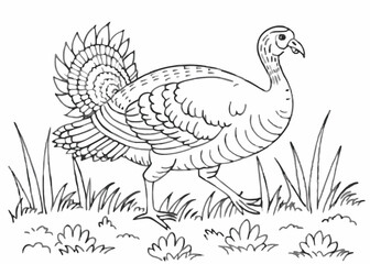 Turkey watercolor illustration. Hand drawn underwater element design Coloring page Design