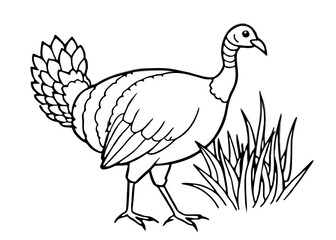 Turkey Vintage illustrations of Andean condor Illustration for greeting cards, printing and other design projects.