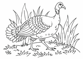 Turkey watercolor illustration. Hand drawn underwater element design Coloring page Design