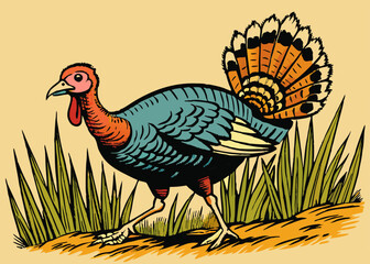 Cute turkey on white background. Domestic farm or wild turkey mother, father and baby. Vector flat or cartoon icons illustration.