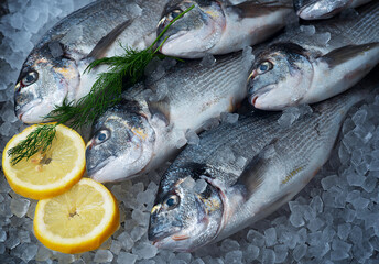 Fresh dorado fish on crushed ice with lemon slices and dill. Perfect for seafood, healthy eating, and culinary projects. Highlights freshness with vibrant colors and appetizing composition.