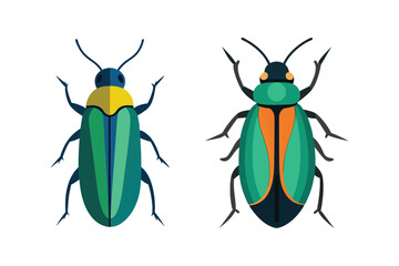 : jewel beetle insect vector illustration set