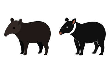 malayan tapir vector illustration set.