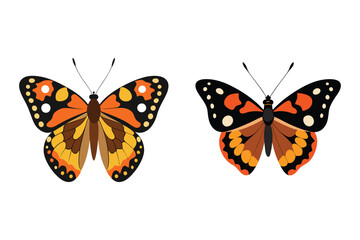   painted lady butterfly insect vector illustration set.