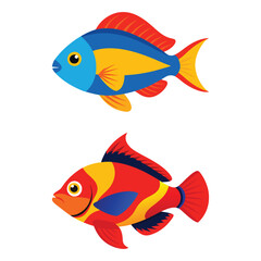  royal gramma fish vector illustration set.