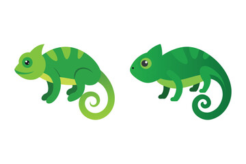 veiled chameleon vector illustration set
