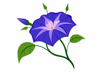 flower isolated on white background