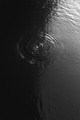 Ripple in Water
