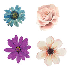 "Elegant Flower Illustrations Bundle: Hand-Drawn Floral Designs for Creative Projects"